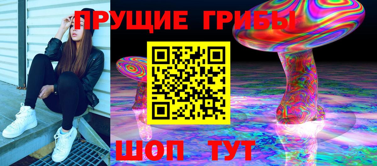 Метадон Гусев