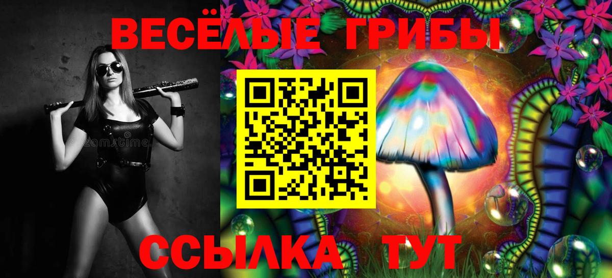 Галлюциногенные грибы мицелий Гусев